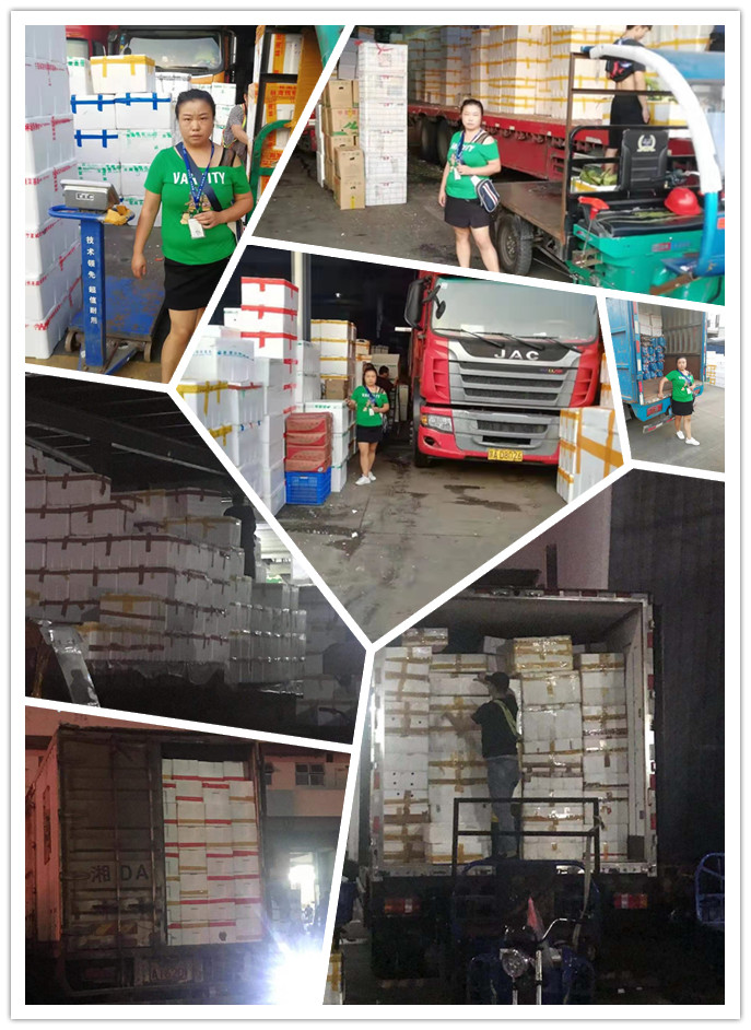 EVO厅·(中国区)视讯官网