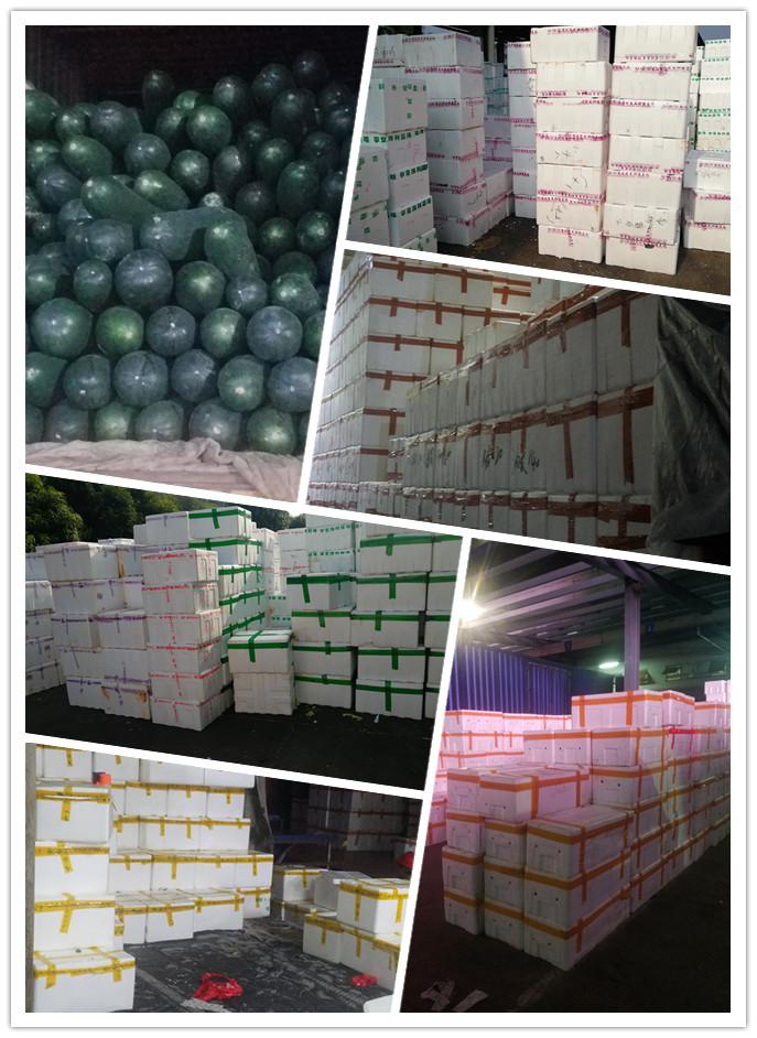 EVO厅·(中国区)视讯官网