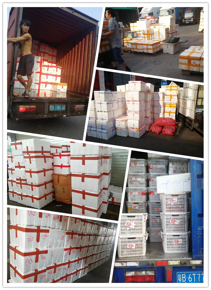 EVO厅·(中国区)视讯官网