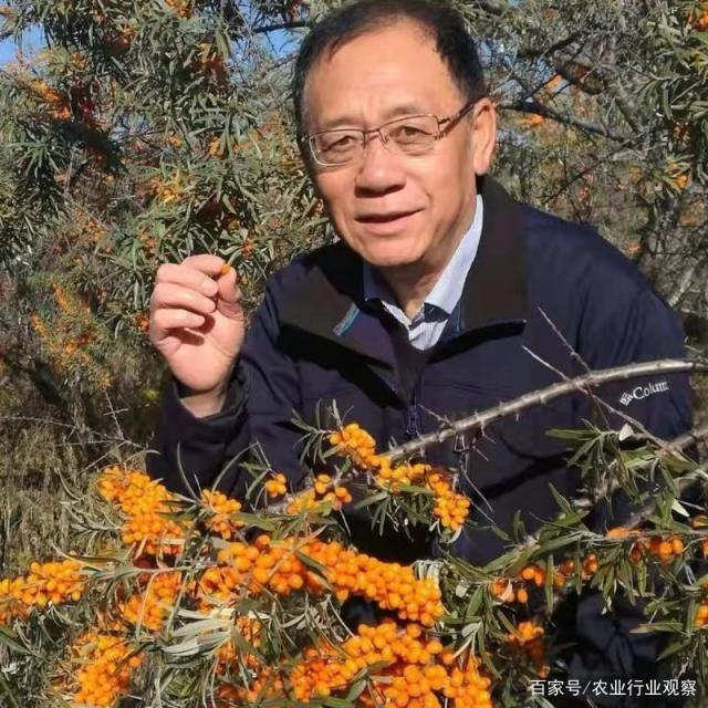 EVO厅·(中国区)视讯官网