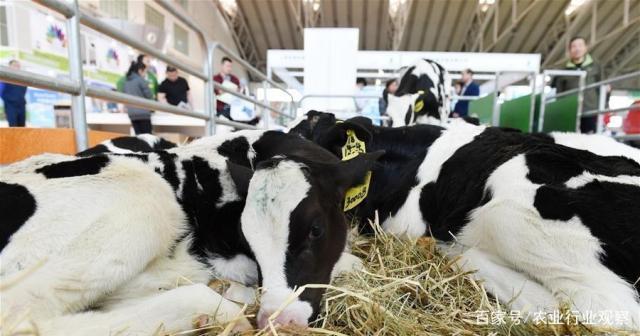 EVO厅·(中国区)视讯官网