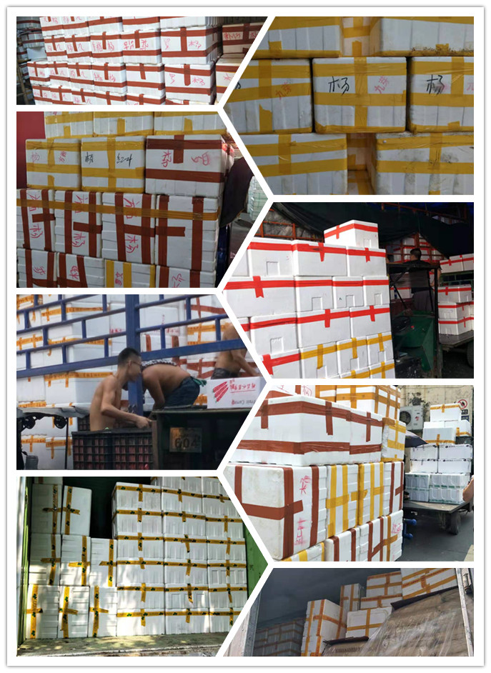 EVO厅·(中国区)视讯官网