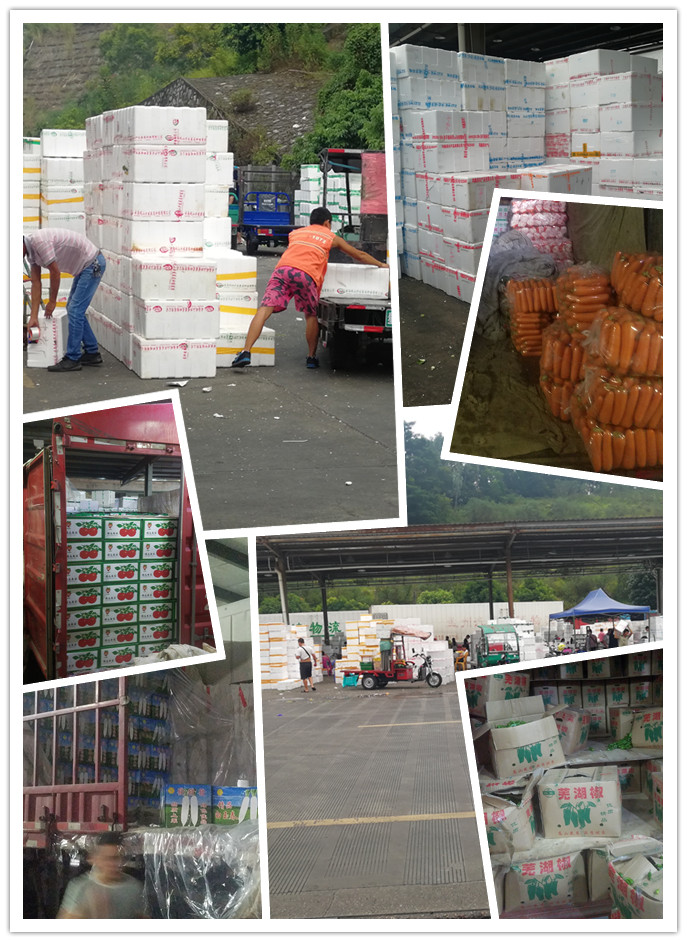 EVO厅·(中国区)视讯官网