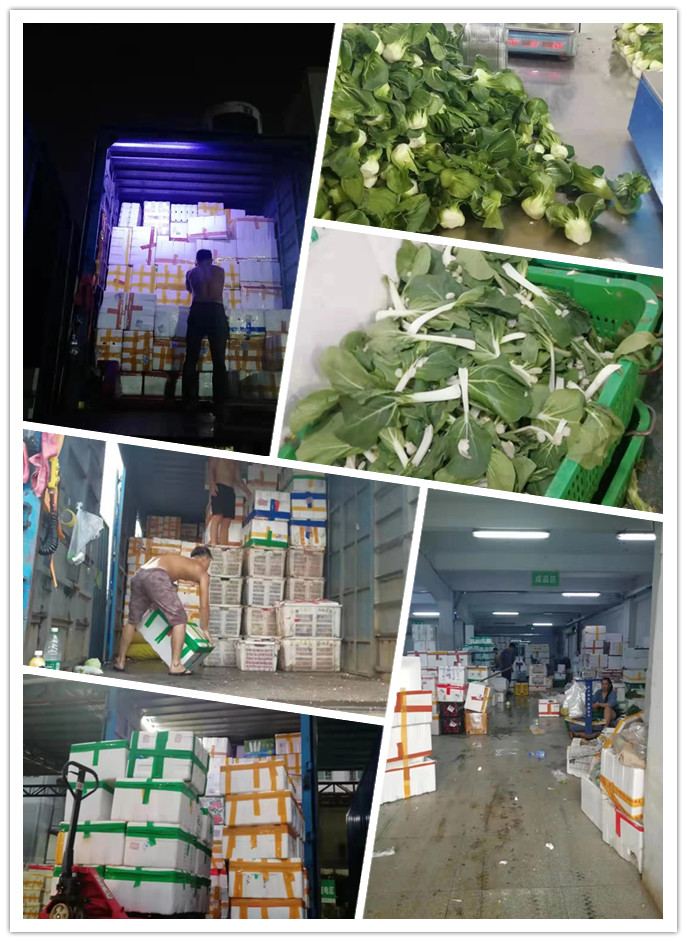 EVO厅·(中国区)视讯官网