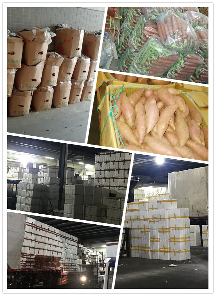 EVO厅·(中国区)视讯官网