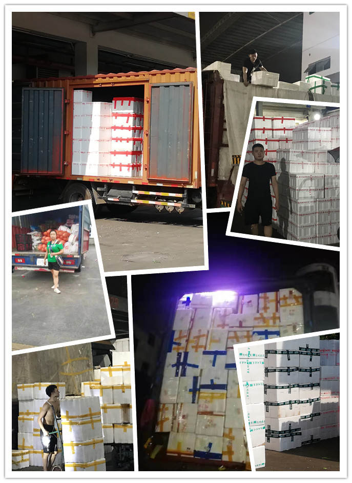 EVO厅·(中国区)视讯官网