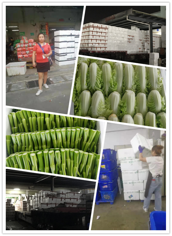 EVO厅·(中国区)视讯官网