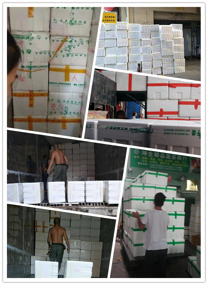 EVO厅·(中国区)视讯官网