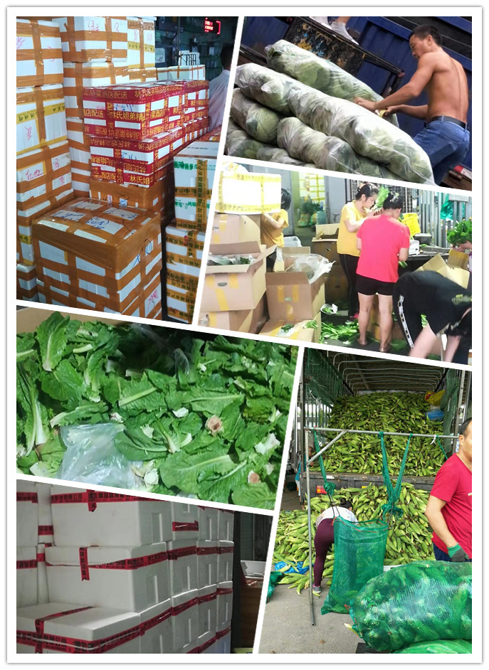 EVO厅·(中国区)视讯官网