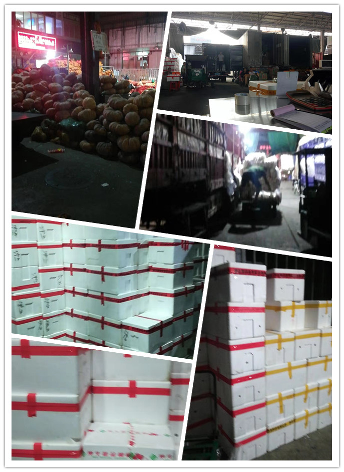 EVO厅·(中国区)视讯官网