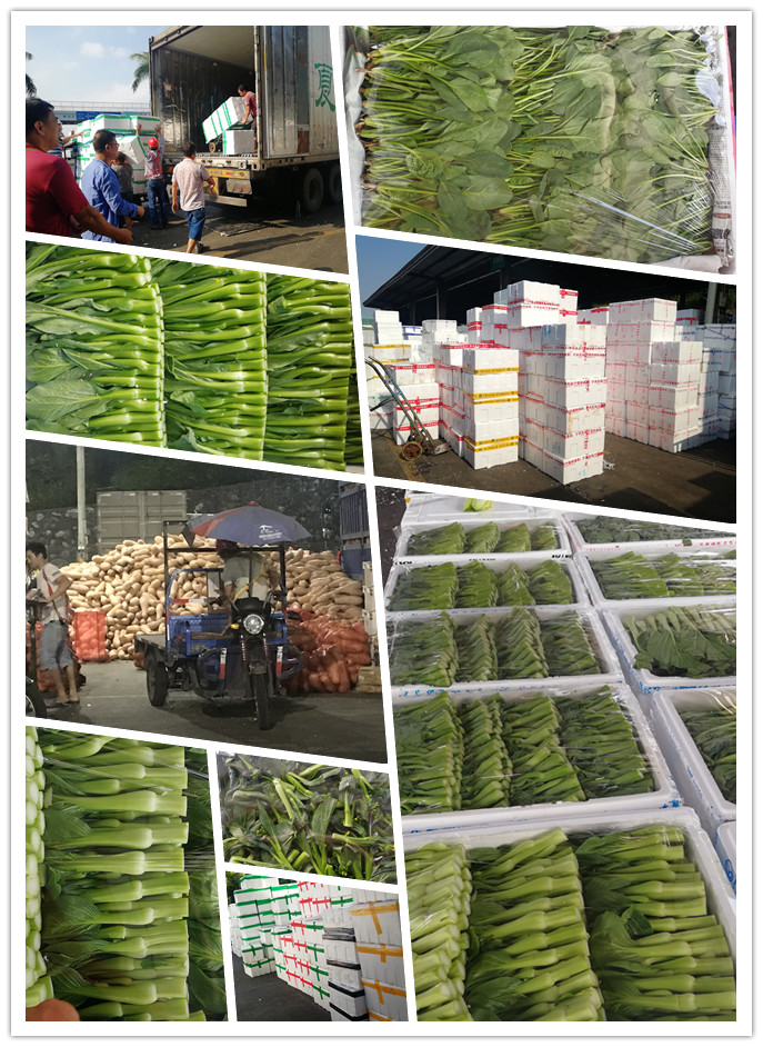 EVO厅·(中国区)视讯官网