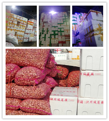 EVO厅·(中国区)视讯官网