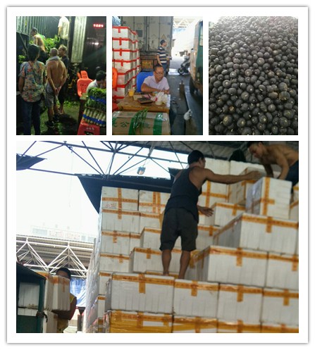 EVO厅·(中国区)视讯官网