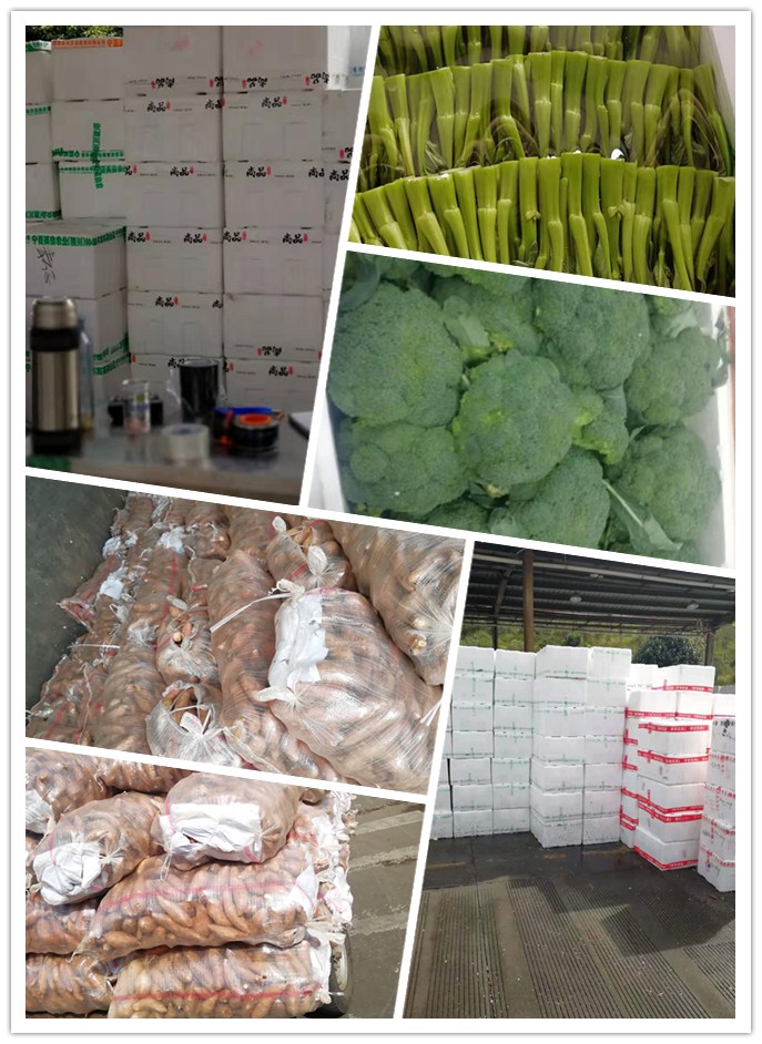 EVO厅·(中国区)视讯官网