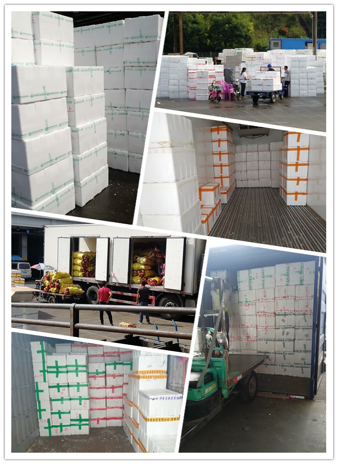 EVO厅·(中国区)视讯官网