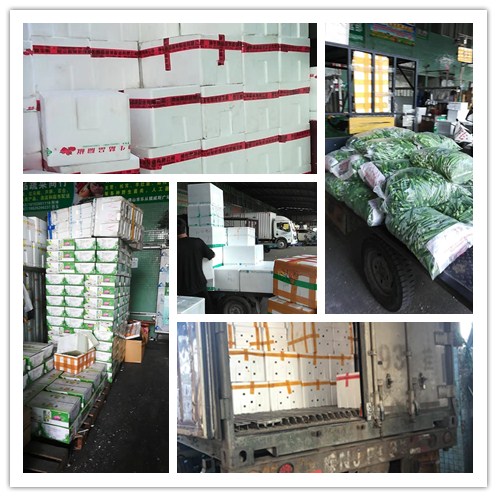 EVO厅·(中国区)视讯官网