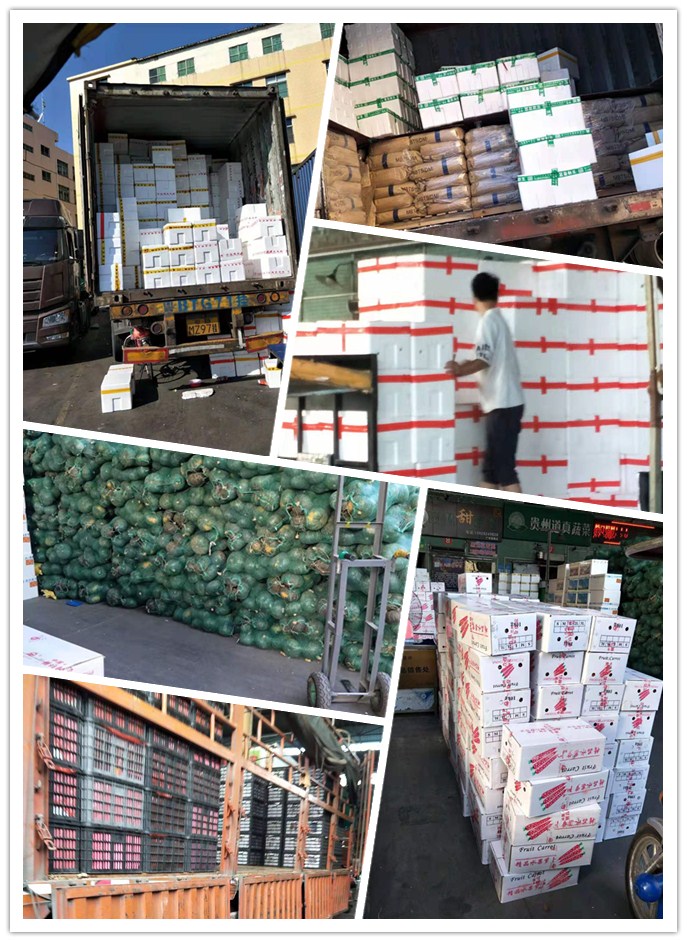 EVO厅·(中国区)视讯官网