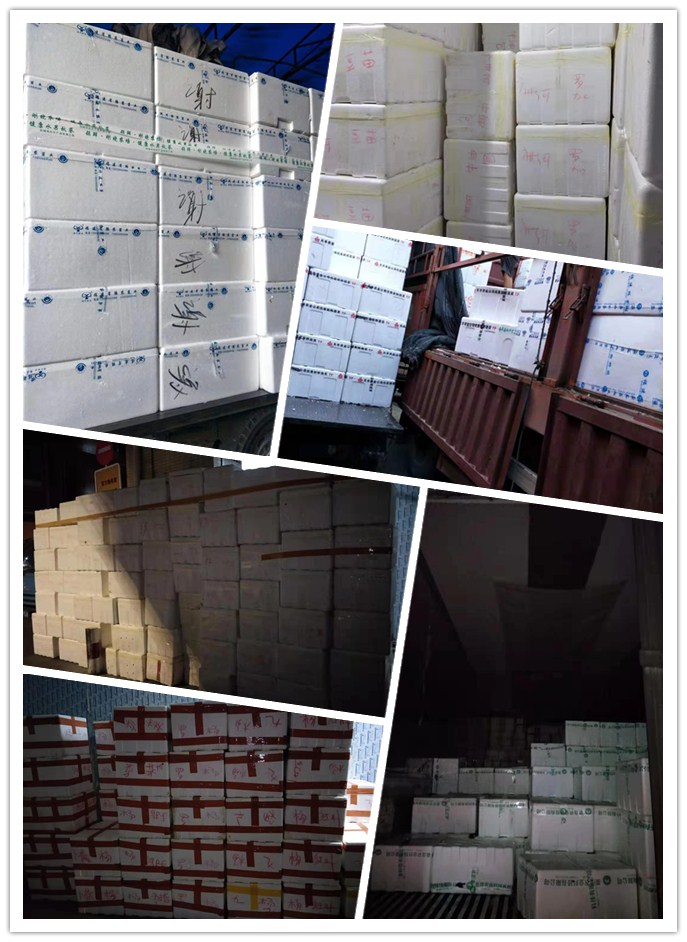 EVO厅·(中国区)视讯官网