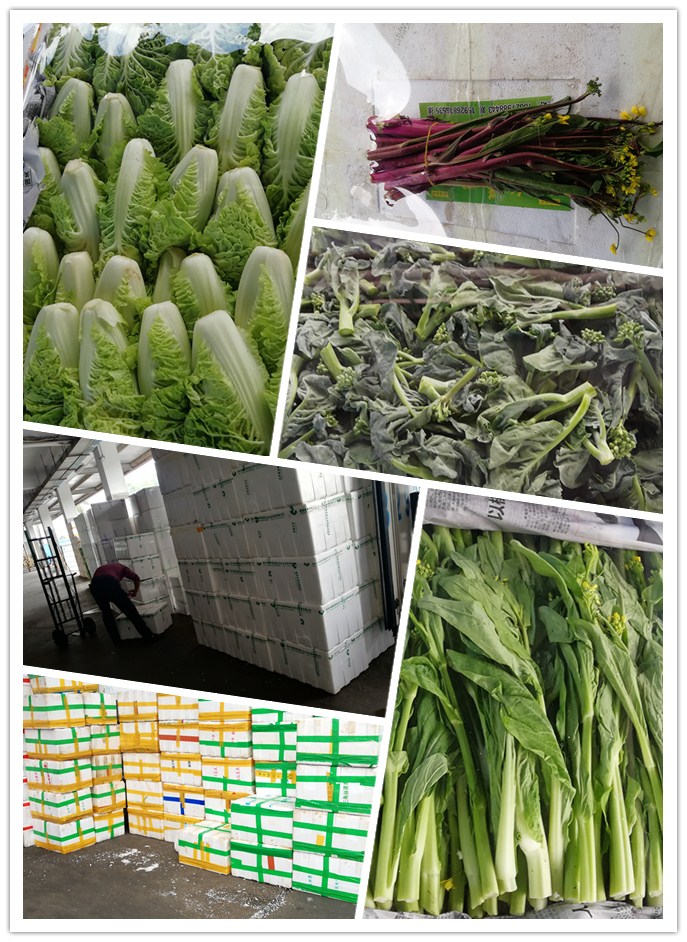 EVO厅·(中国区)视讯官网