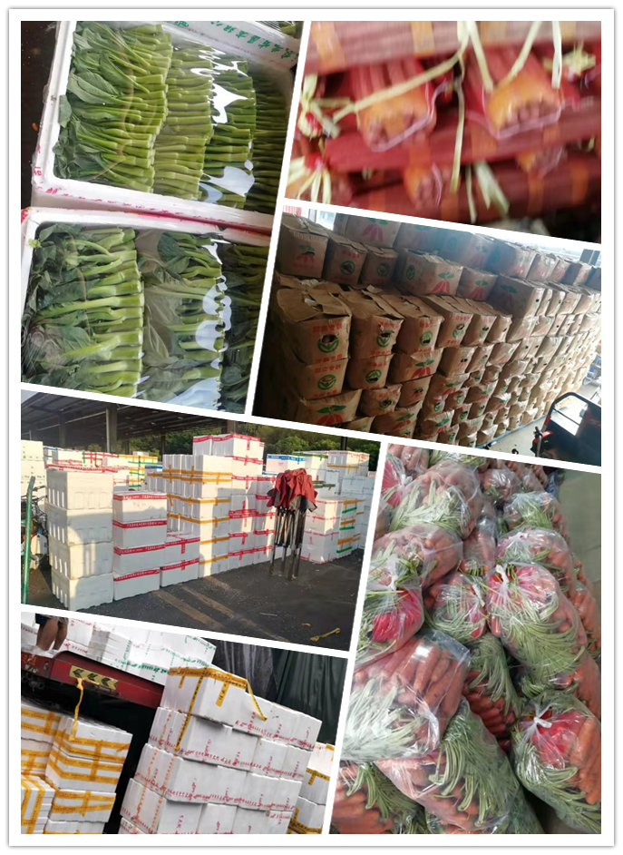 EVO厅·(中国区)视讯官网