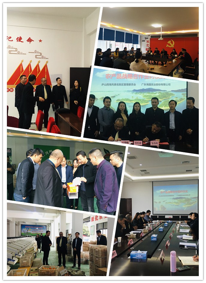 EVO厅·(中国区)视讯官网