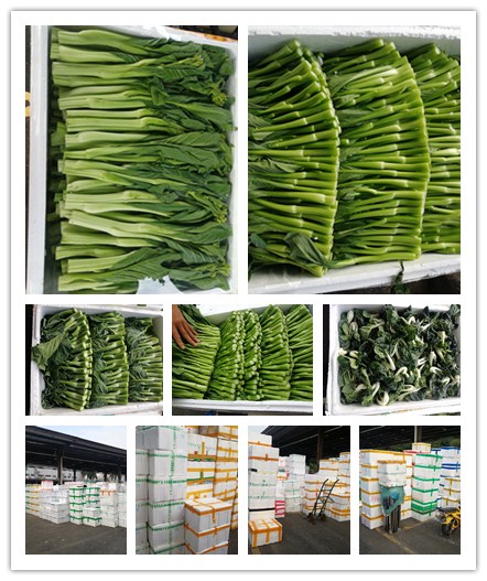 EVO厅·(中国区)视讯官网