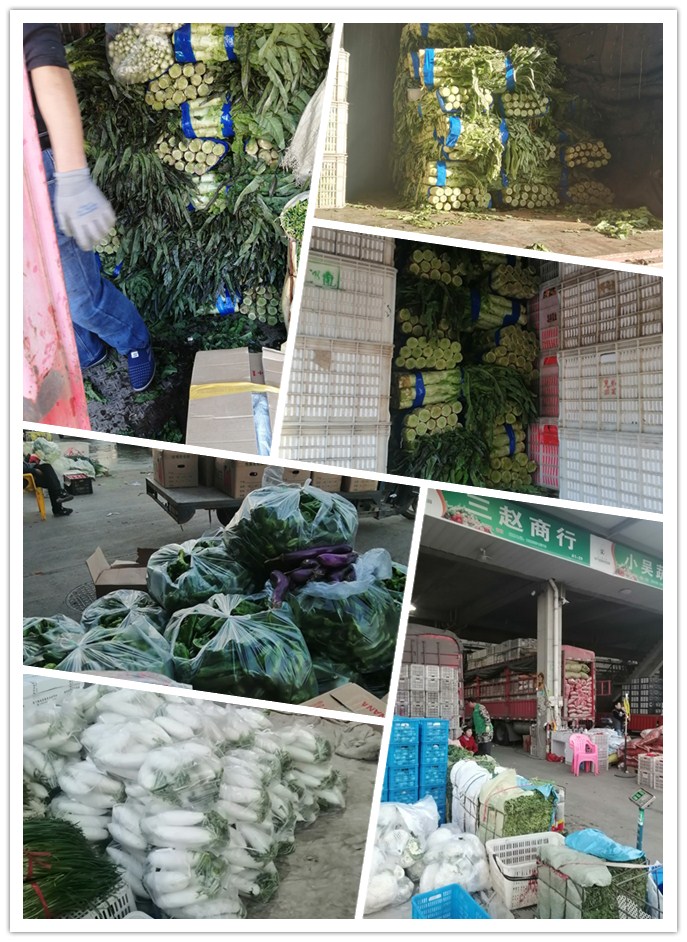 EVO厅·(中国区)视讯官网