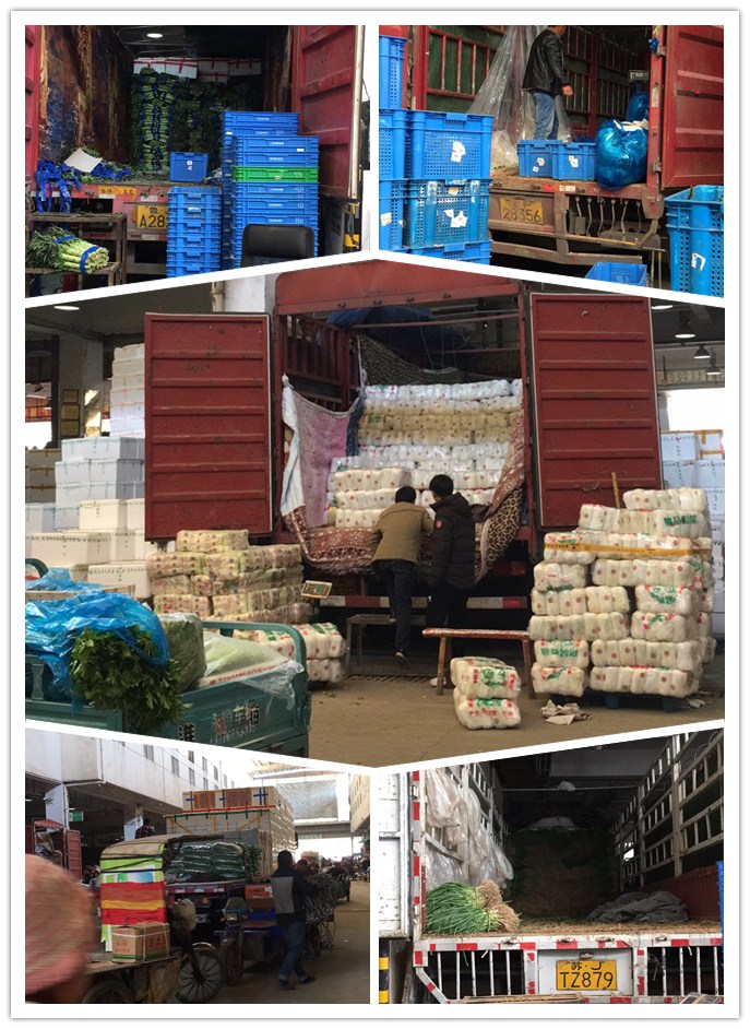 EVO厅·(中国区)视讯官网