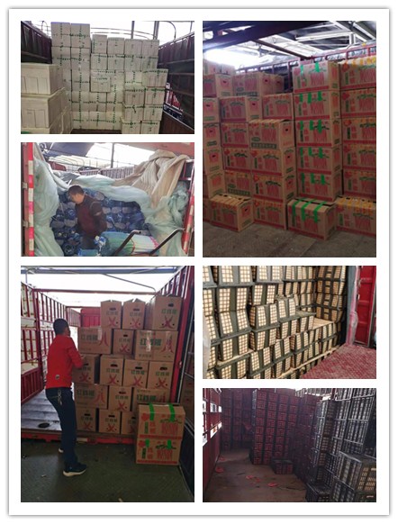 EVO厅·(中国区)视讯官网