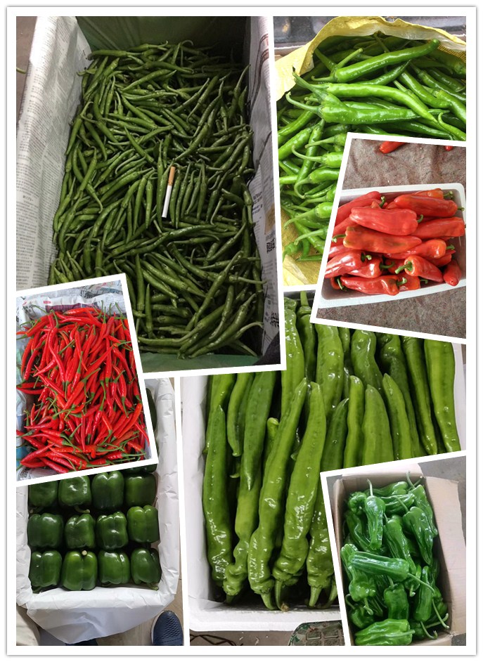 EVO厅·(中国区)视讯官网