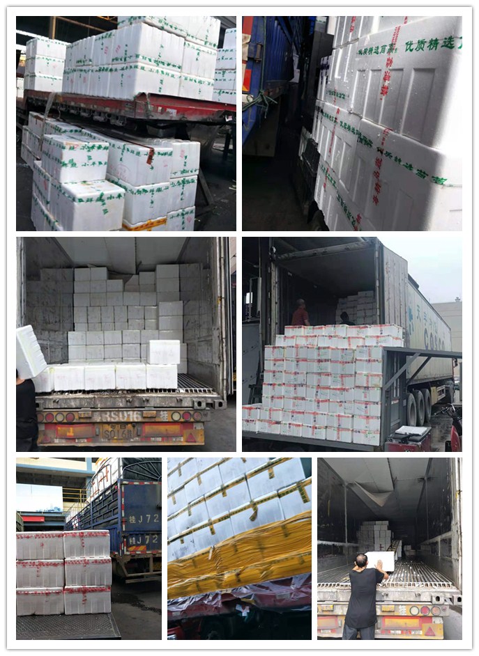 EVO厅·(中国区)视讯官网