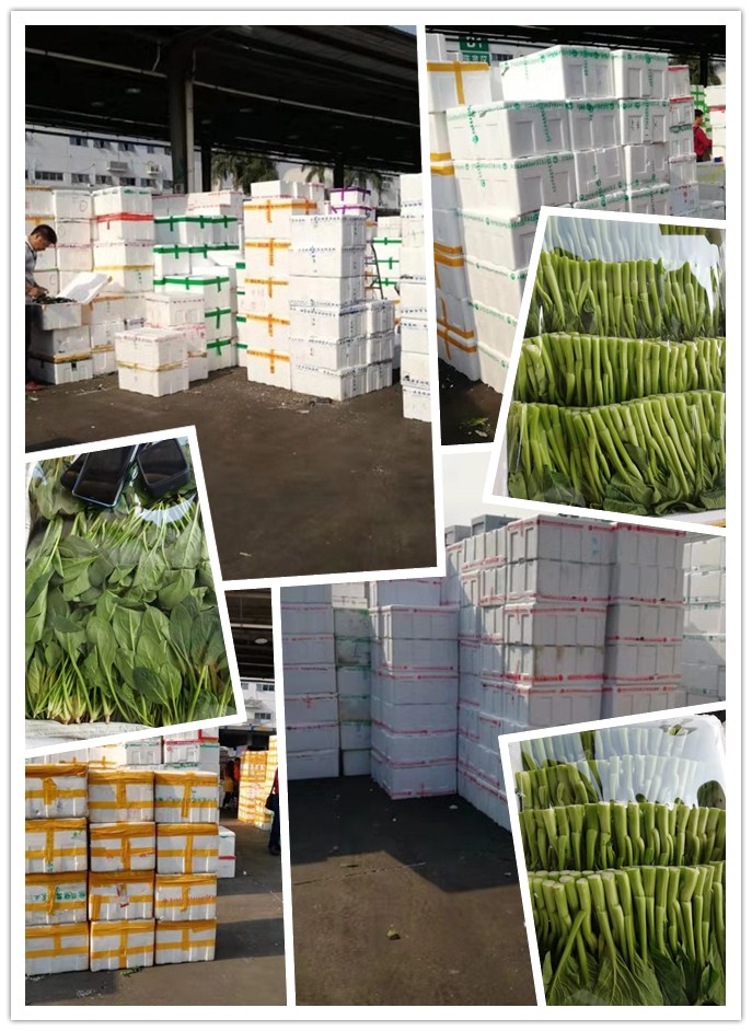 EVO厅·(中国区)视讯官网