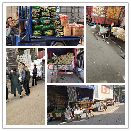 EVO厅·(中国区)视讯官网