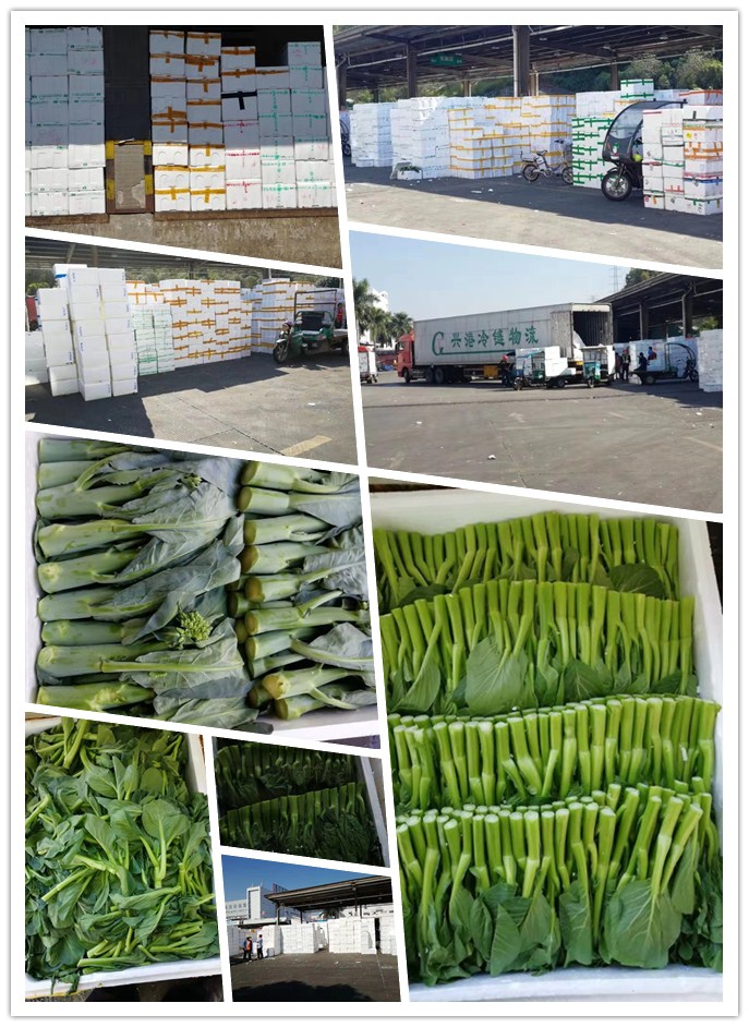 EVO厅·(中国区)视讯官网