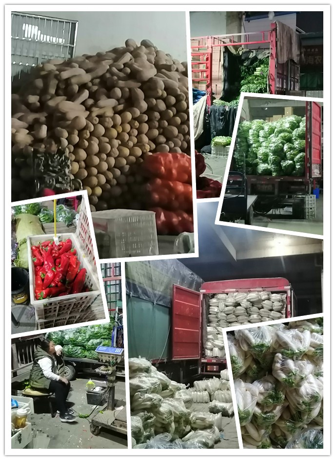 EVO厅·(中国区)视讯官网