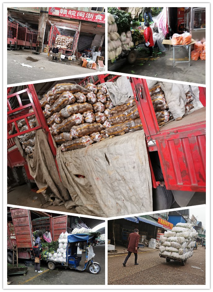 EVO厅·(中国区)视讯官网