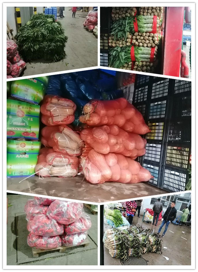 EVO厅·(中国区)视讯官网