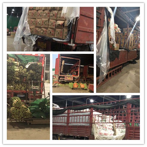 EVO厅·(中国区)视讯官网