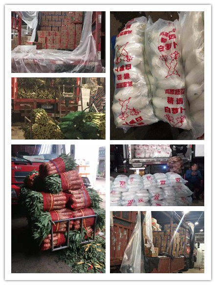 EVO厅·(中国区)视讯官网