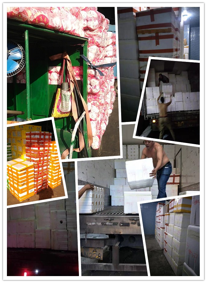 EVO厅·(中国区)视讯官网