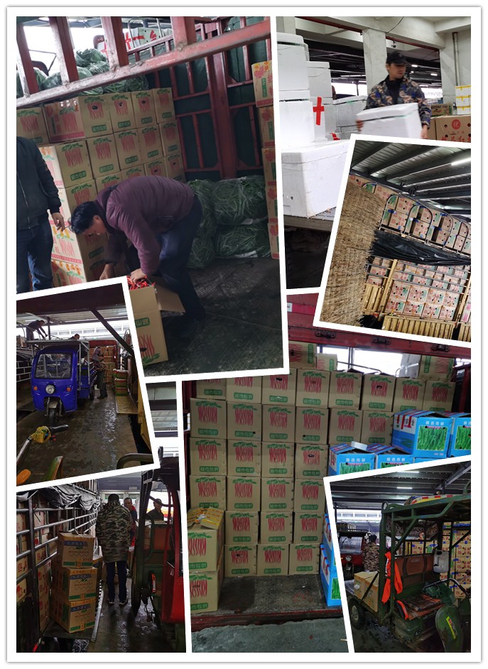 EVO厅·(中国区)视讯官网