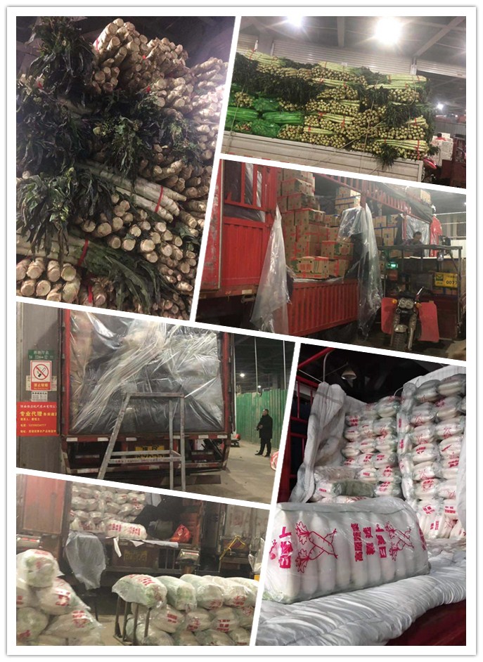 EVO厅·(中国区)视讯官网