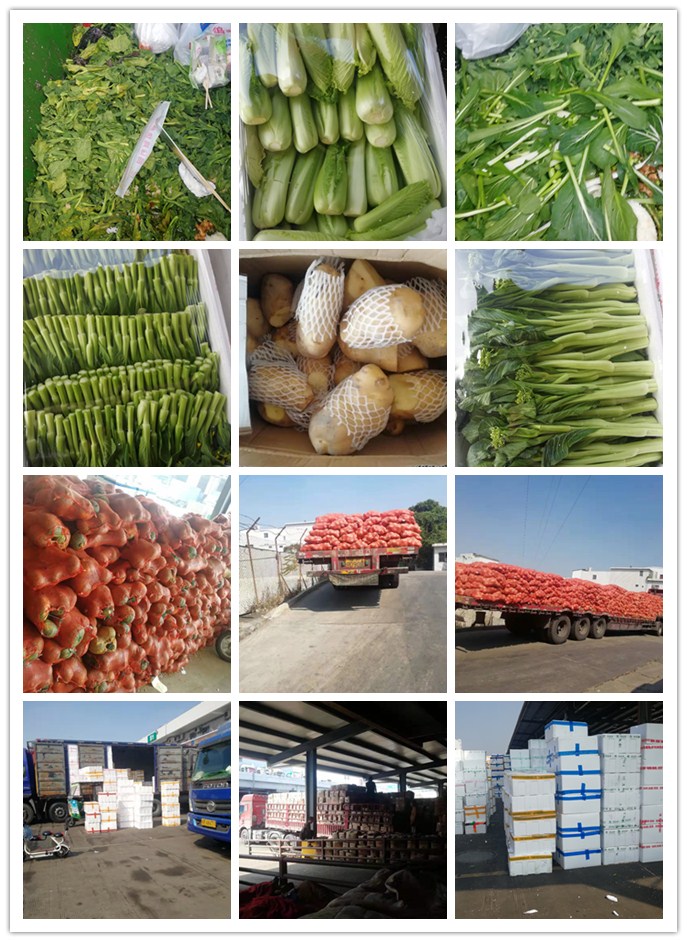 EVO厅·(中国区)视讯官网