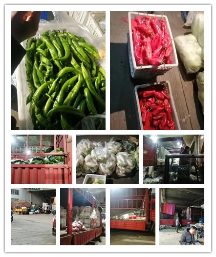 EVO厅·(中国区)视讯官网