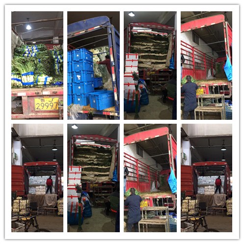 EVO厅·(中国区)视讯官网