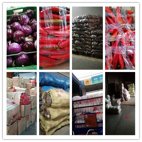 EVO厅·(中国区)视讯官网