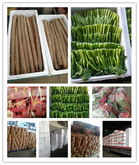 EVO厅·(中国区)视讯官网