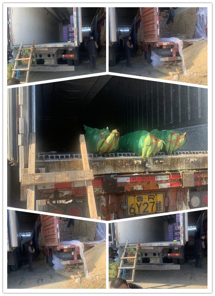 EVO厅·(中国区)视讯官网