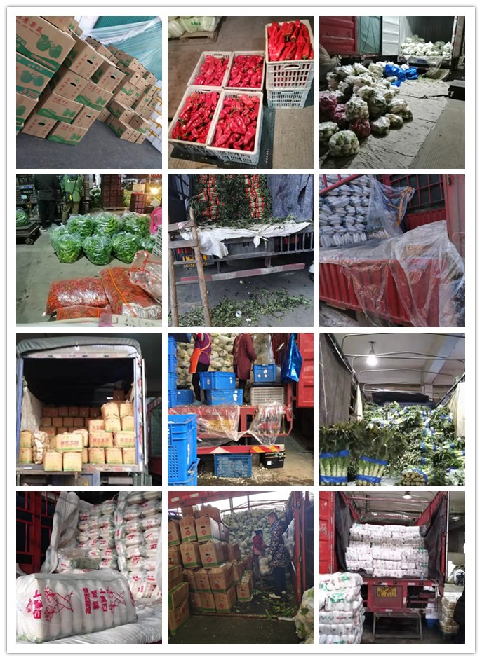 EVO厅·(中国区)视讯官网