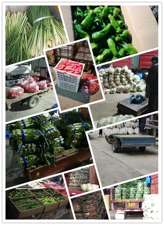 EVO厅·(中国区)视讯官网